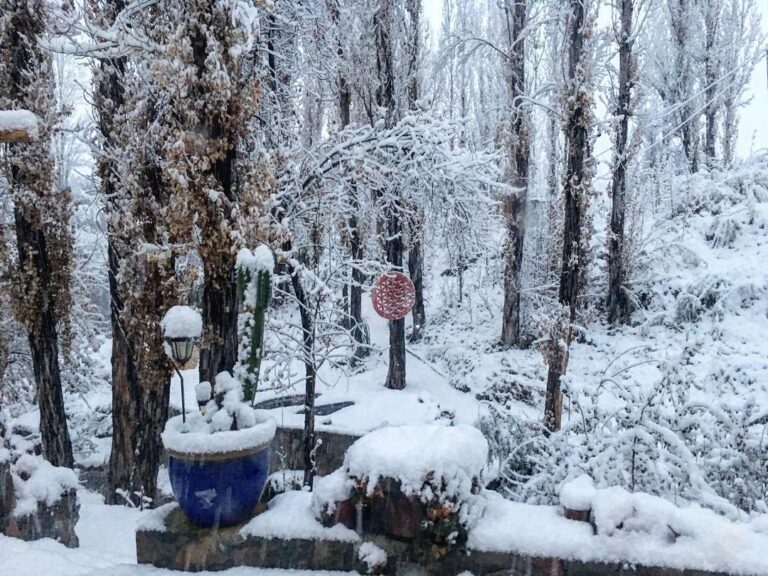 Cabañas el portal nieve