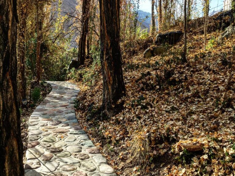 cabañas el portal naturaleza